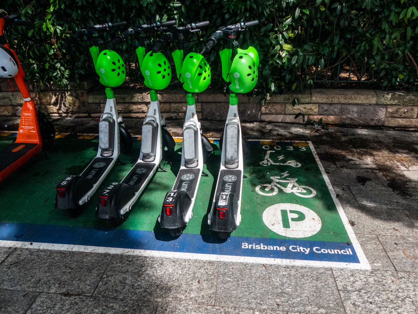 Scooters lined up inside a painted city-council scooter parking bay.
